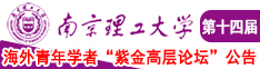 比片免费南京理工大学第十四届海外青年学者紫金论坛诚邀海内外英才！